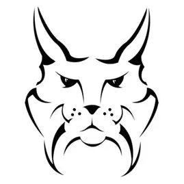 steellynx brand logo for steellynx.com