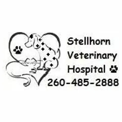 Dvmdev2 brand logo for stellhornvet.dvmdev2.com