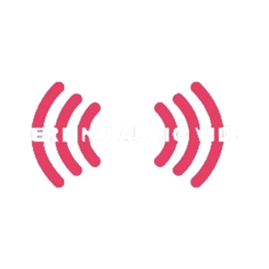 sterlingaudiovideo brand logo for sterlingaudiovideo.com