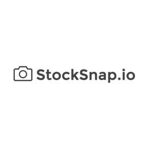 stocksnap brand logo for stocksnap.io