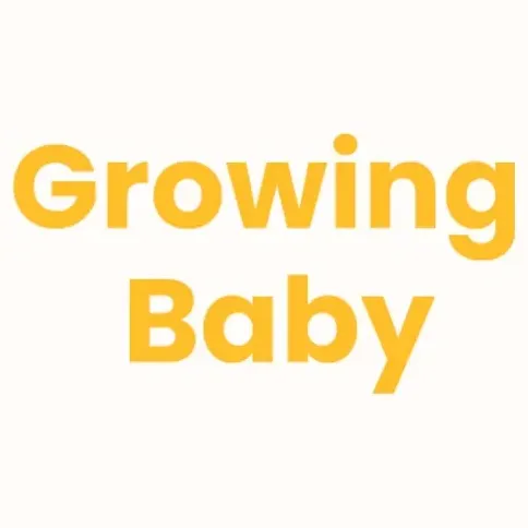 Growingbaby brand logo for store.growingbaby.ai