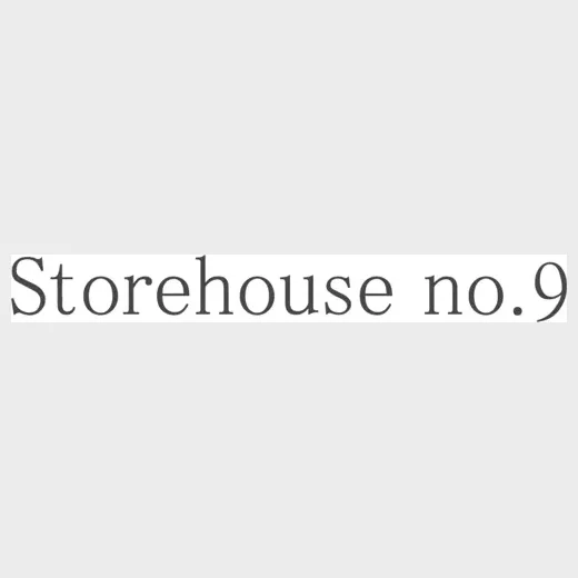 storehouseno9 brand logo for storehouseno9.com