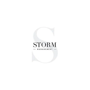 stormmanagement brand logo for stormmanagement.com
