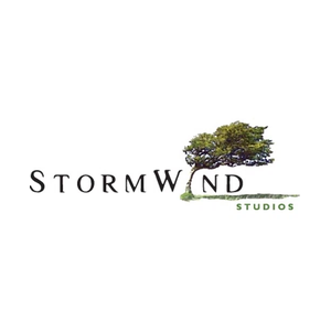 stormwindstudios brand logo for stormwindstudios.com