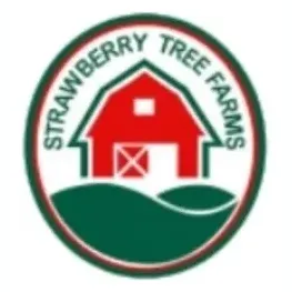 strawberrytreefarms brand logo for strawberrytreefarms.com