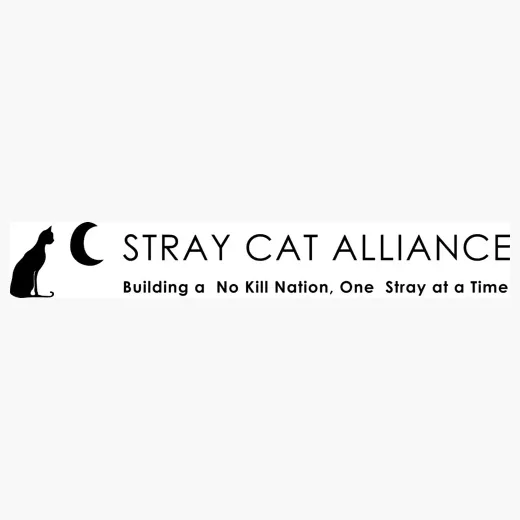 straycatalliance brand logo for straycatalliance.org