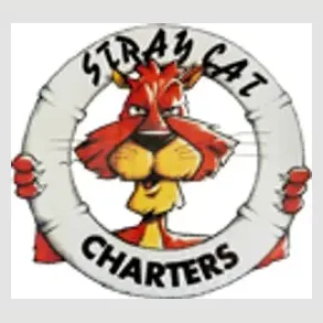 straycatcharters brand logo for straycatcharters.com