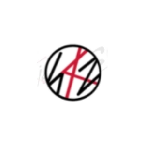 straykidsmerch brand logo for straykidsmerch.com