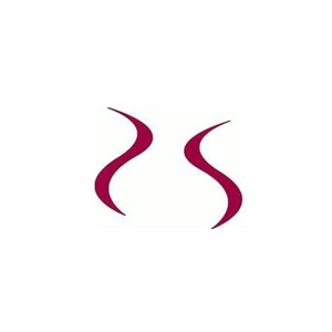 strutbridalsalon brand logo for strutbridalsalon.com
