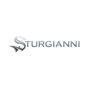 sturgianni brand logo for sturgianni.com