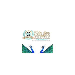 stylemobbuniversity brand logo for stylemobbuniversity.com