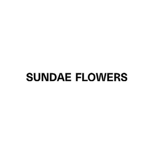 Sundae School brand logo for sundae.school