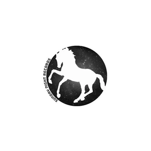 sundaynightrecords brand logo for sundaynightrecords.com
