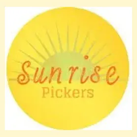 sunrisepickers brand logo for sunrisepickers.com