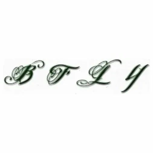 superbfly brand logo for superbfly.com