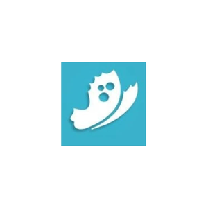 surfaceinspired brand logo for surfaceinspired.com