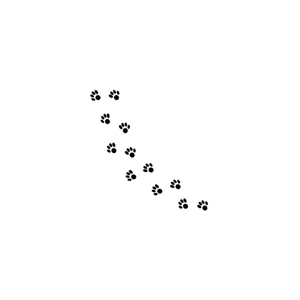 suzdoxiedawgs brand logo for suzdoxiedawgs.com