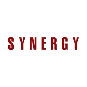 synergyconsulting brand logo for synergyconsulting.us