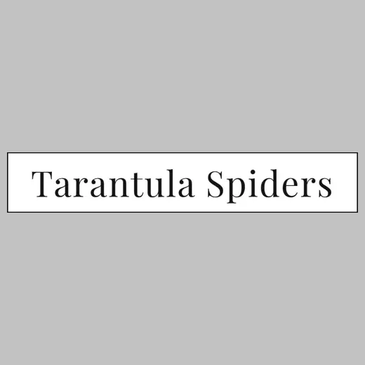 tarantulaspiders brand logo for tarantulaspiders.com
