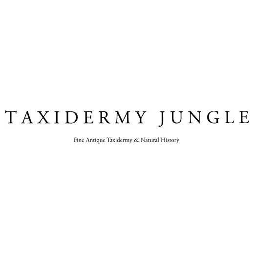 taxidermyjungle brand logo for taxidermyjungle.co.uk