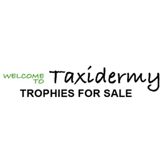 taxidermytrophiesforsale brand logo for taxidermytrophiesforsale.com