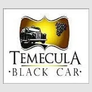 tblackcar brand logo for tblackcar.com