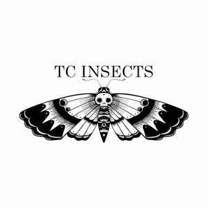 tcinsects brand logo for tcinsects.com