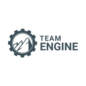 teamengine brand logo for teamengine.io