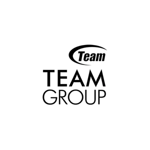 teamgroupinc brand logo for teamgroupinc.com