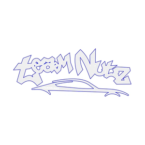teamnutztechnology brand logo for teamnutztechnology.com