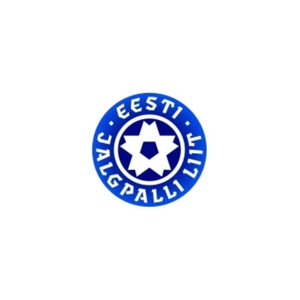 teamspirit brand logo for teamspirit.ee