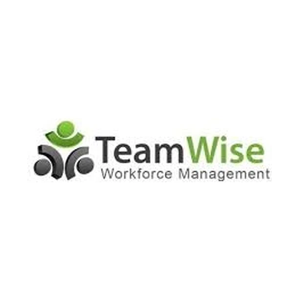 teamwise brand logo for teamwise.co