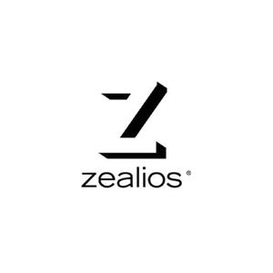 teamzealios brand logo for teamzealios.com