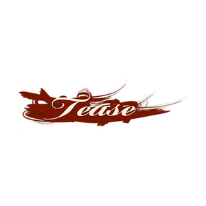 teaseyourself brand logo for teaseyourself.com