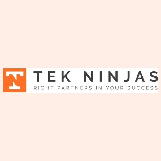 tekninjas brand logo for tekninjas.com