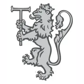 telemarkinc brand logo for telemarkinc.com