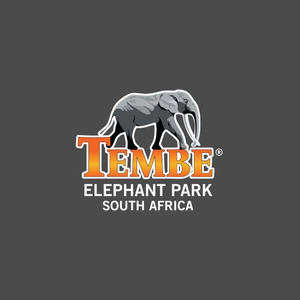 tembe brand logo for tembe.co.za