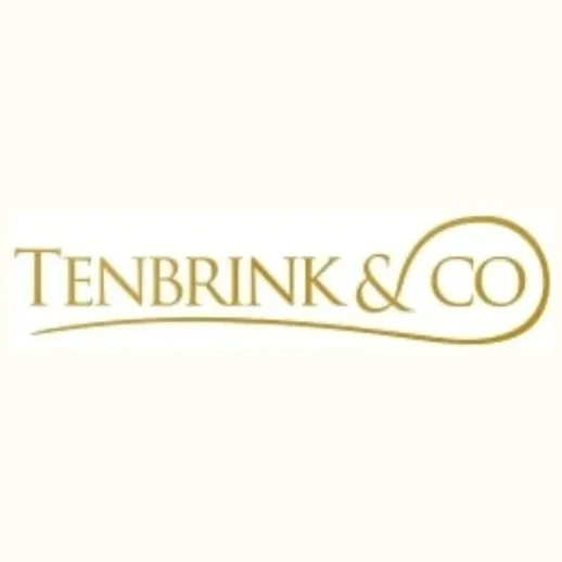tenbrinkandcompany brand logo for tenbrinkandcompany.com