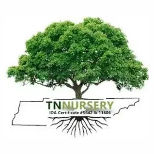 tennesseewholesalenursery brand logo for tennesseewholesalenursery.com