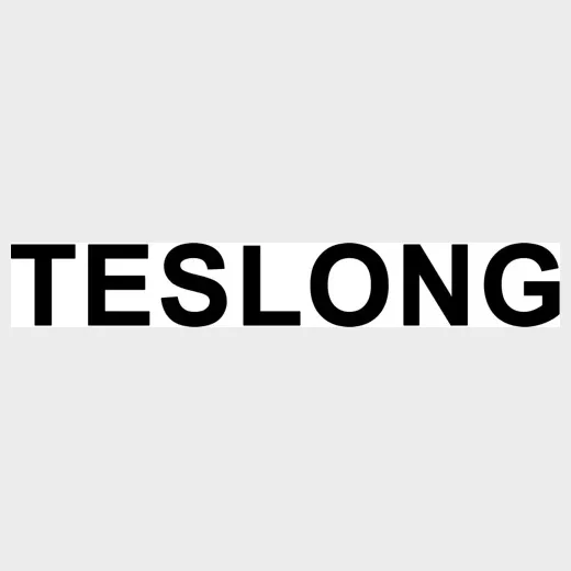 Teslong brand logo for teslong.com