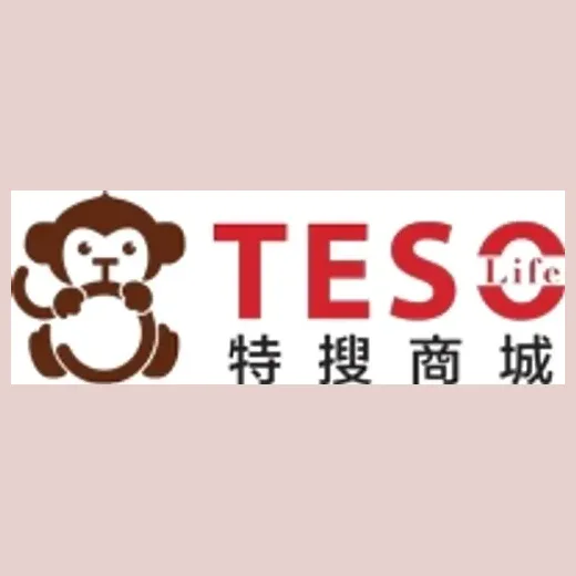 tesolife brand logo for tesolife.com