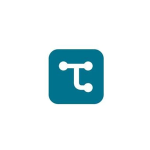 testiny brand logo for testiny.io