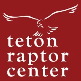 tetonraptorcenter brand logo for tetonraptorcenter.org