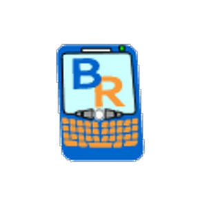 The Berry Review brand logo for berryreview.com