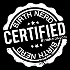 The Birth Nerds brand logo for birthnerds.com
