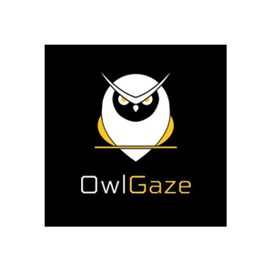 The Black Light brand logo for blacklight.owlgaze.com