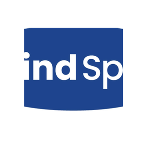 The Blind Spot brand logo for blindspotutah.com