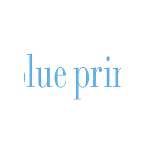 The Blueprint Store brand logo for blueprintstore.com