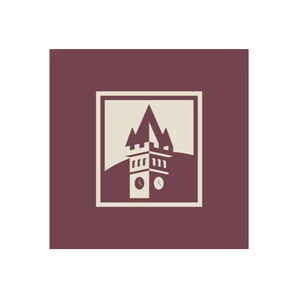 The Borough Theatre brand logo for boroughtheatreabergavenny.co.uk