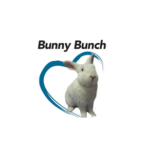 The Bunny Bunch brand logo for bunnybunch.org